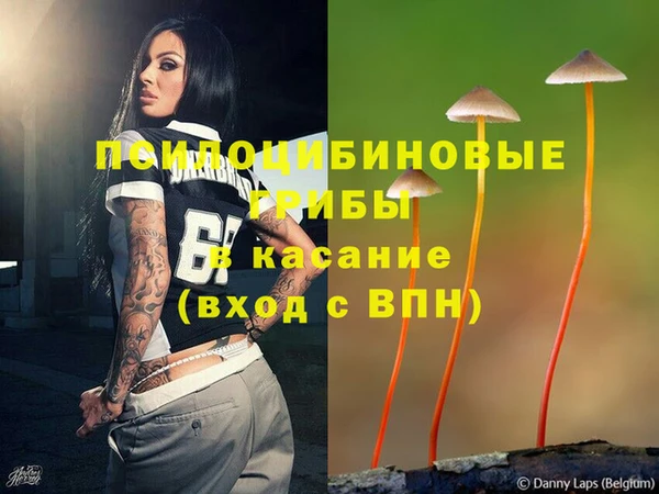 спайс Алексеевка