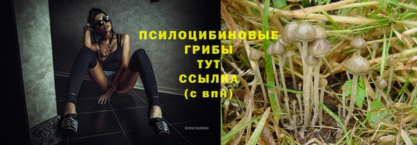 спайс Алексеевка
